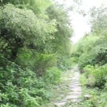 BAROSANYABARAHI MATA (3)